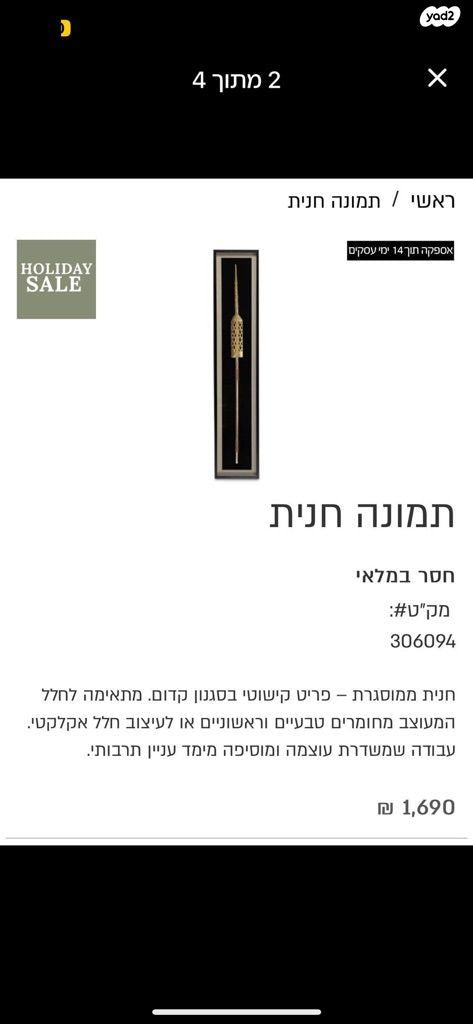 תמונה חנית