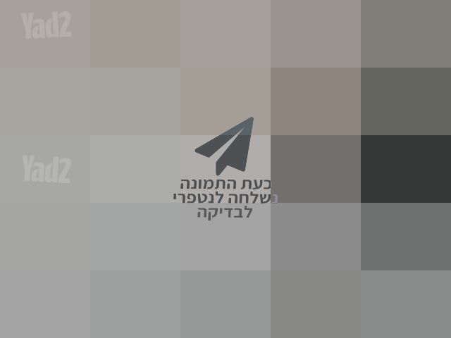 שואב שוטף ROBOROCK F25 RT