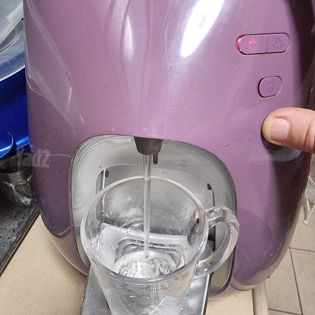 תמי 4 פרימו