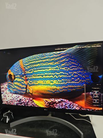 מסך 4K,דגם LG 27UL500-W