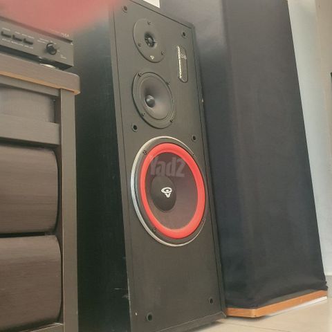 רמקולים Cerwin Vega LS10