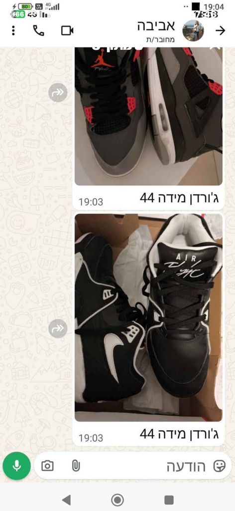 נעלי ספורט