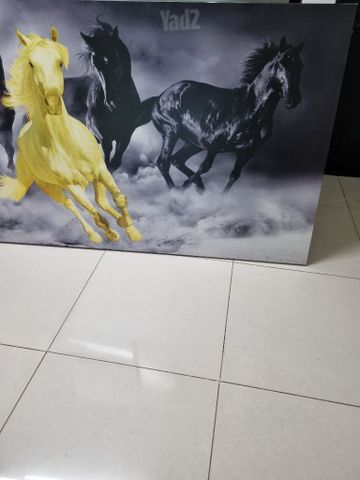 תמונה עמקית