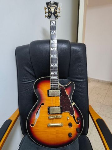 D'Angelico excel ss Korea