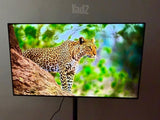 LG OLED 48