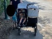 Bugaboo Donkey 2 + אביזרים