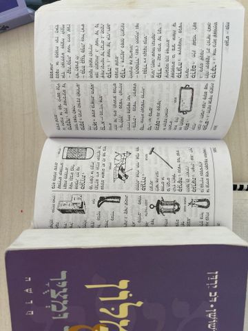 מילון כיס