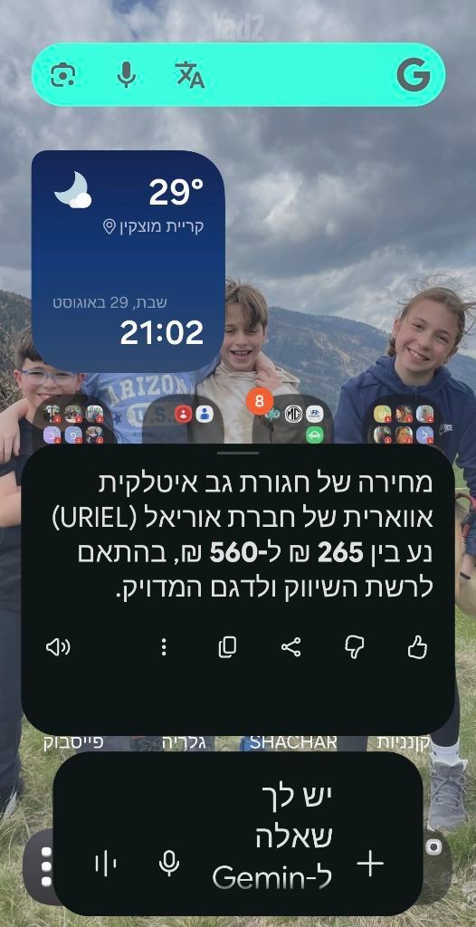 חגורת גב