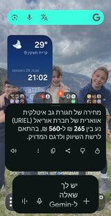 חגורת גב
