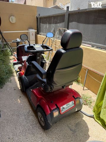 קלנועית אפיקים