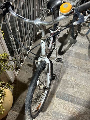 אופני איבקו מידה 24