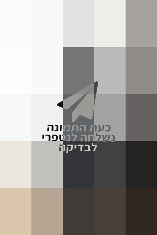 גיטרה קורט SKOP