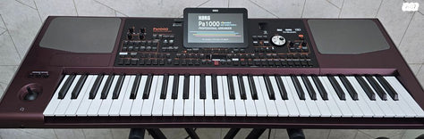 אורגן קורג korg pa1000