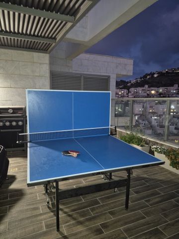 שולחן טניס