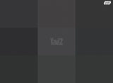 פלאגינים Plugins