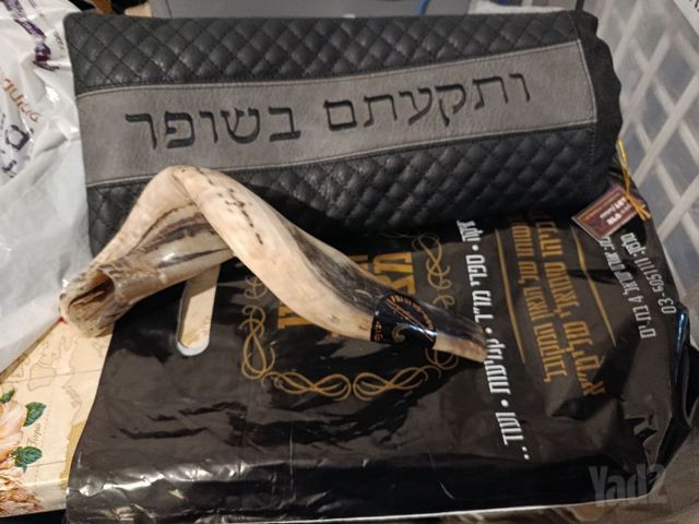 שופר