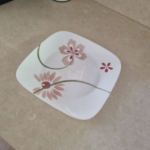 צלחת מנה עיקרית