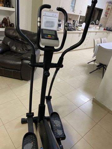 אלפטיקל