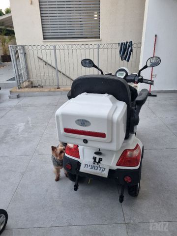קלנועית