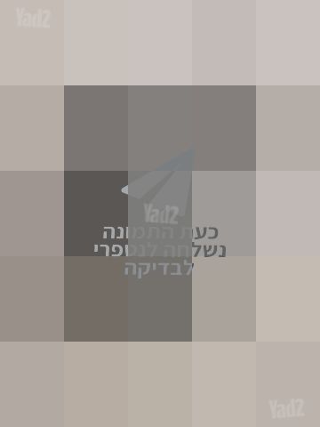 עגלת בוגבו B6