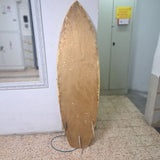 גלשנים