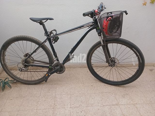 אופניים Cannondale trail