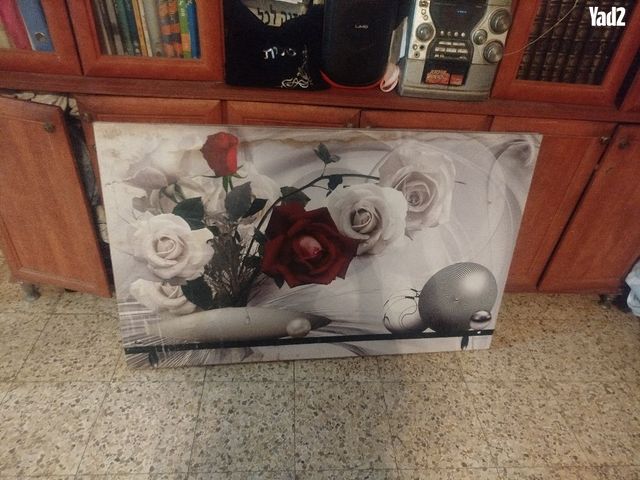 תמונה