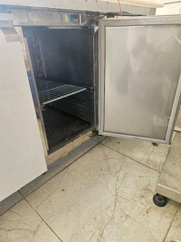 סלטיה