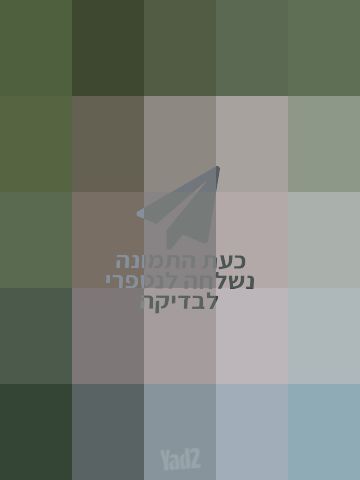 עגלת דונה