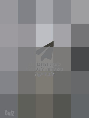 דלת אלומיניום