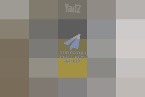 מגרסת נייר