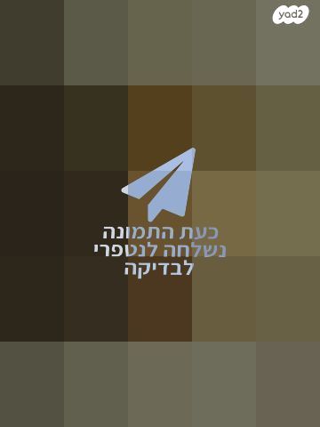 גלילי קנבס איטלקי