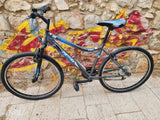 אופני שטח שביל