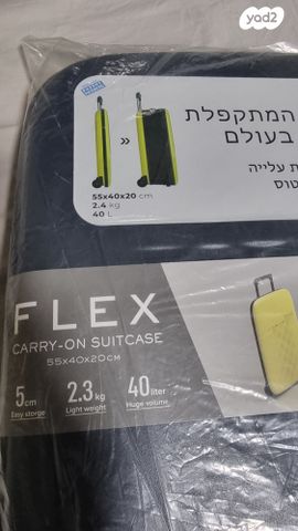 מזודה