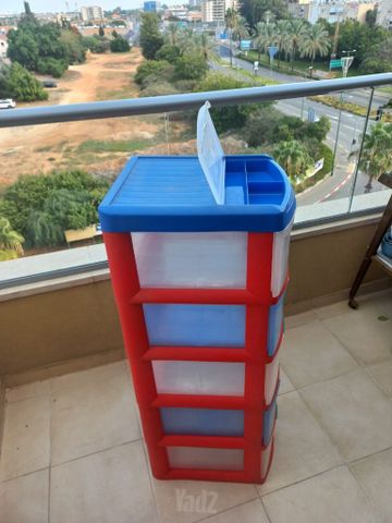ארגונית