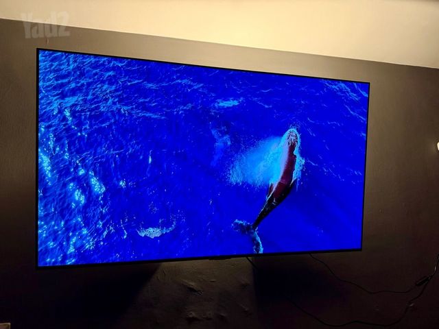 LG OLED 55