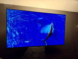 LG OLED 55