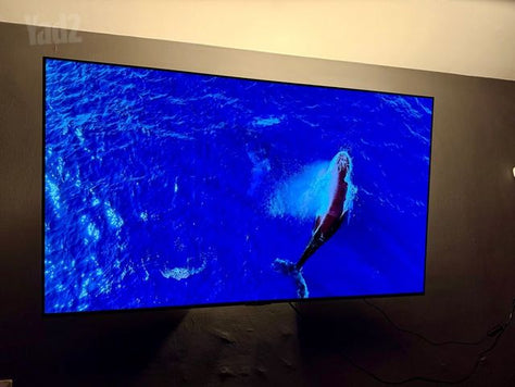 LG OLED 55