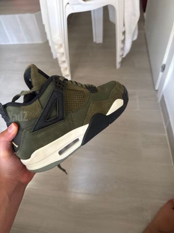 גורדן 4 olive