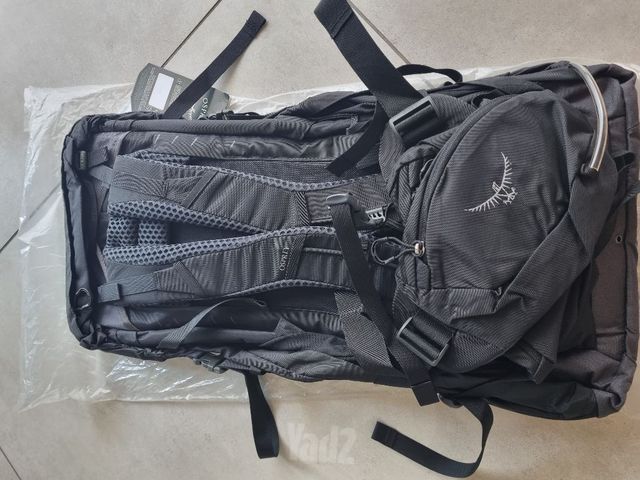 Osprey kestrel 48