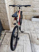אופני Polygon Cleo