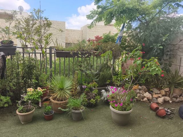 צמחי גינה