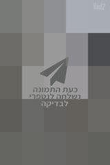שולחן