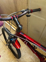 ‏אופני raleigh