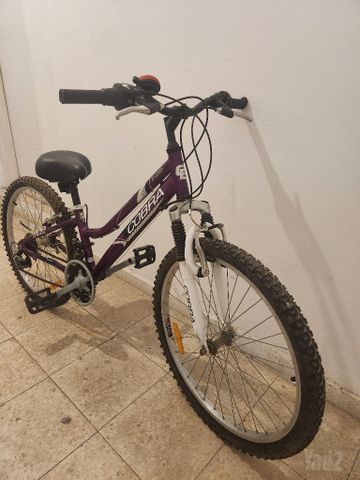 אופנים 24'