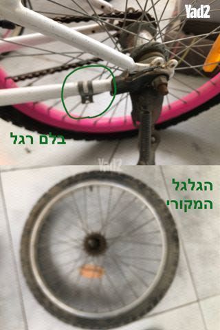 אופנים