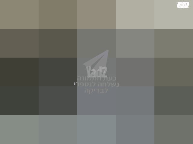 נינגה גריל