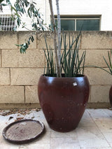 כד חרס