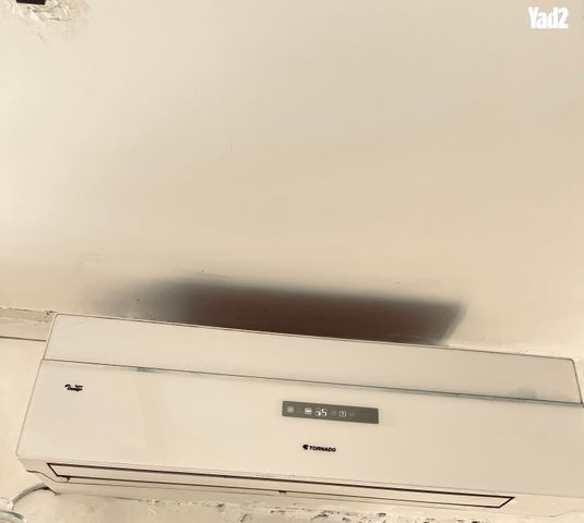 מסכן טןרנדו