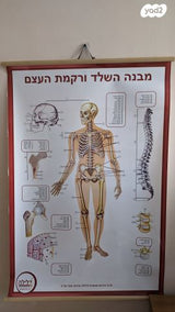 2 פוסטרים למידה/הדרכה למדעים